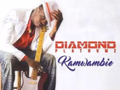 ALBUM Diamond Platnumz – Kamwambie (Full Album) Official Album Artwork Side Makini Blog