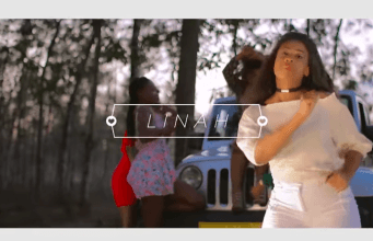 VIDEO Linah – Raha Jipe Mwenyewe (Official Video) Mp4 Download Side Makini Blog