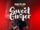 AUDIO Rhino The Don ft Appy – Sweet Ginger Mp3 Download Side Makini Blog