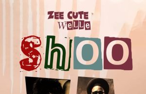 AUDIO Zee Cute Ft. Welle – Shoo Mp3 Download Side Makini Blog