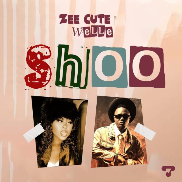 AUDIO Zee Cute Ft. Welle – Shoo Mp3 Download Side Makini Blog