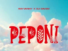 AUDIO Rayvanny X DJ Davizo – Peponi Mp3 Download Side Makini Blog