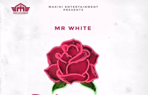 AUDIO | Mr White – Lizzy | Mp3 Download