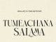 AUDIO Aslay Ft Hanstone – Tumeachana Salama Mp3 Download Side Makini Blog