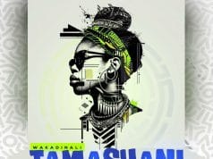 Wakadinali ft Skillo, Sudough Doss & Katapilla – Tamashani