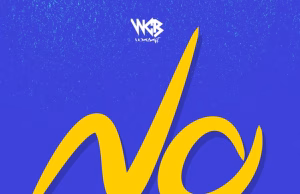 D Voice – NO