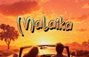 Fik Fameica – Malaika