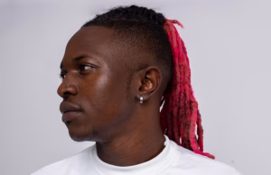 Mr. Seed Ft Tipsy Gee – Mpoa