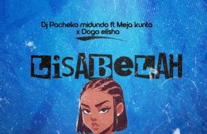 AUDIO DJ Pacheko Ft Meja Kunta & Dogo Elisha – Lisa Bela Mp3 Download Side Makini Blog