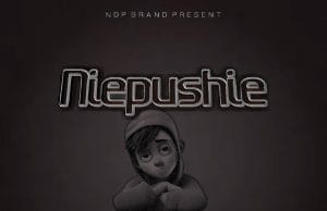 AUDIO Founder TZ – Niepushie Mp3 Download Side Makini Blog