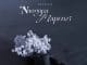 Jaivah Ft. Cloudy Sa, Kapipo Beats – Naogopa Mapenzi AUDIO Jaivah Ft. Cloudy Sa, Kapipo Beats – Naogopa Mapenzi Mp3 Download Side Makini Blog
