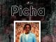 AUDIO Kiluza Fanani – Picha Mp3 Download Side Makini Blog