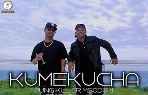 AUDIO Young Killer Ft. Mr Blue - Kumekucha Mp3 Download Side Makini Blog