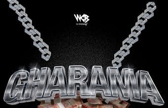 AUIDO D Voice – Gharama Mp3 Download Side Makini Blog