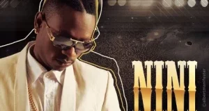 Nasry Nasri – Nini Unalia nini Unawaza nini AUIDO Nasry – Nini Mp3 Download Side Makini Blog