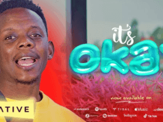 VIDEO David Wonder – Its Okay (Official Video) Mp4 Download Side Makini Blog