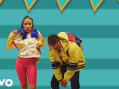 VIDEO Vinka Ft Fik Fameica – Tubikole (Official Video) Mp4 Download Side Makini Blog