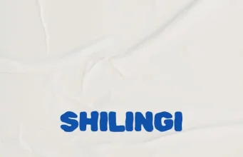 Dogo Niga Ft. MRT Sound – Shilingi AUDIO Dogo Niga Ft. MRT Sound – Shilingi Mp3 Download Side Makini Blog