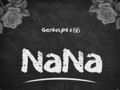 GeniusJini X66 – Nana AUDIO Genius Jini X66 – Nana Mp3 Download Mp3 Download Side Makini Blog