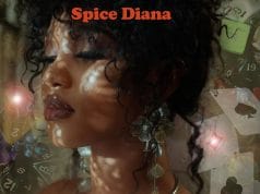 Spice Diana – Kagobako AUDIO Spice Diana – Kagobako Mp3 Download Side Makini Blog