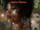 AUDIO Spice Diana – Kagobako Mp3 Download Side Makini Blog