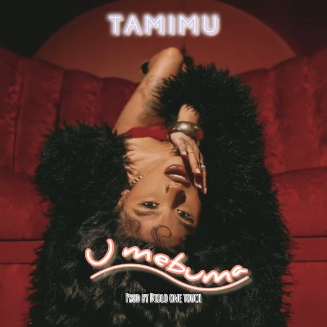 AUIDO Tamimu – Umebuma Mp3 Download Side Makini Blog