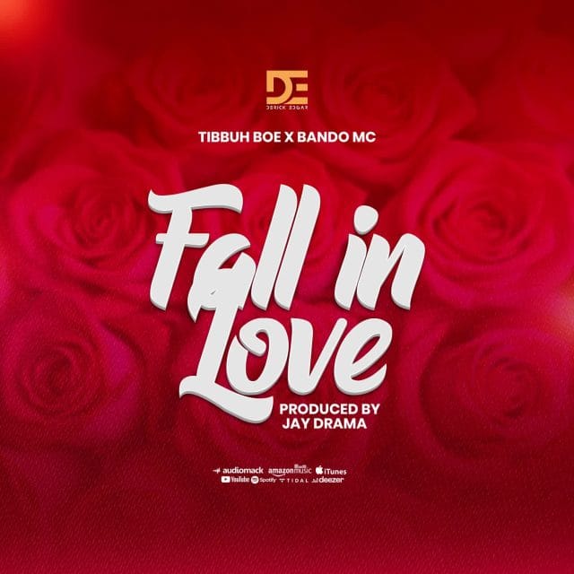 AUIDO Tibbuh Boe Ft. Bando Mc – Fall in Love Mp3 Download Side Makini Blog