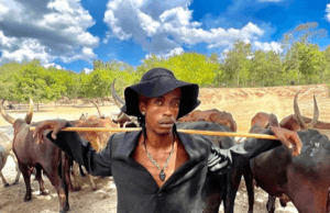 VIDEO: Balaa Mc – Maisha Ya Mbali (Official Visualizer) VIDEO Balaa Mc – Maisha Ya Mbali (Official Visualizer) Mp4 Download Side Makini Blog