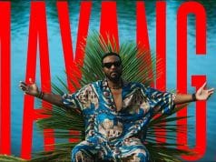 VIDEO Fally Ipupa – Mayanga (Official Video) Mp4 Download Side Makini Blog