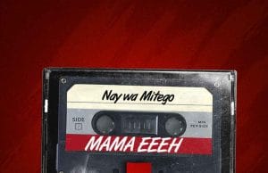 Nay Wa Mitego – Mama Eeeh AUDIO Nay Wa Mitego – Mama Eeeh Mp3 Download Side Makini Blog
