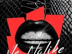 AUDIO Trio Mio – Vle Nalike Mp3 Download Side Makini Blog