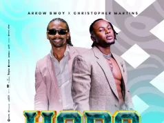 Arrow Bwoy Ft Chris Martin – Hapo AUIDO Arrow Bwoy Ft Chris Martin – Hapo Mp3 Download Side Makini Blog