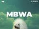 AUIDO D Voice – Mbwa Mp3 Download Side Makini Blog