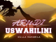 AUIDO Dulla Makabila – Arudi Uswahilini Mp3 Download Side Makini Blog