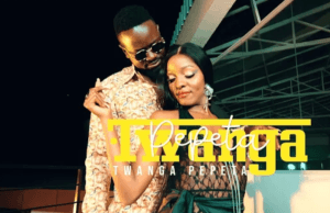 VIDEO Prince Indah ft. Phina & Cedo – Twanga Pepeta (Official Video) Mp4 Side Makini Blog