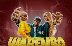 AUDIO Mh. Temba Ft. Juma Nature – Warembo Mp3 Download Side Makini Blog
