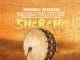 AUDIO Singeli Queens – Sherehe Mp3 Download Side Makini Blog
