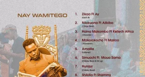 ALBUM: Nay Wa Mitego – Raisi Wa Kitaa