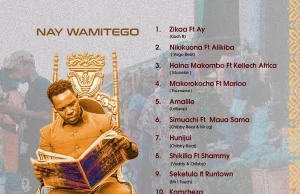 ALBUM: Nay Wa Mitego – Raisi Wa Kitaa