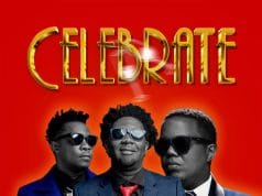 AUDIO Chege, Madee & AY Masta – Celebrate Mp3 Download Side Makini Blog
