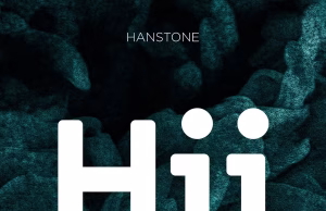 AUDIO Hanstone – Hii Mp3 Download Side Makini Blog