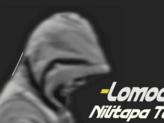 AUDIO Lomodo – Nilitapatapa Mp3 Download Side Makini Blog