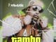 EP P Mawenge – Tambo Za Viwango Official EP Artwork Cover Mp3 Download Side Makini Blog