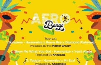 EP: Harmonize – Afro Bongo