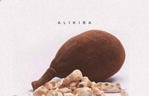 AUDIO Alikiba – Ubuyu Mp3 Download Side Makini Blog