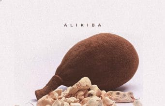 AUDIO Alikiba – Ubuyu Mp3 Download Side Makini Blog