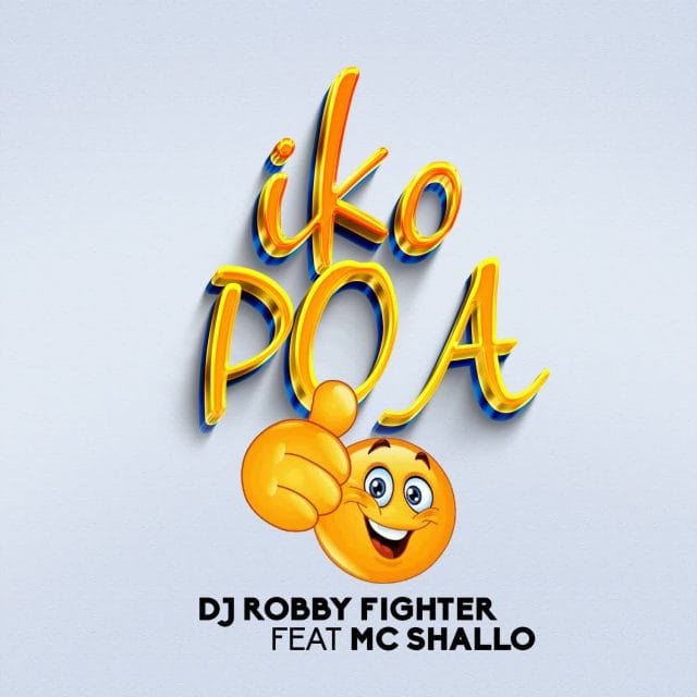 AUDIO DJ Robby Fighter Ft. MC Shallo – Iko Poa Mp3 Download Side Makini Blog