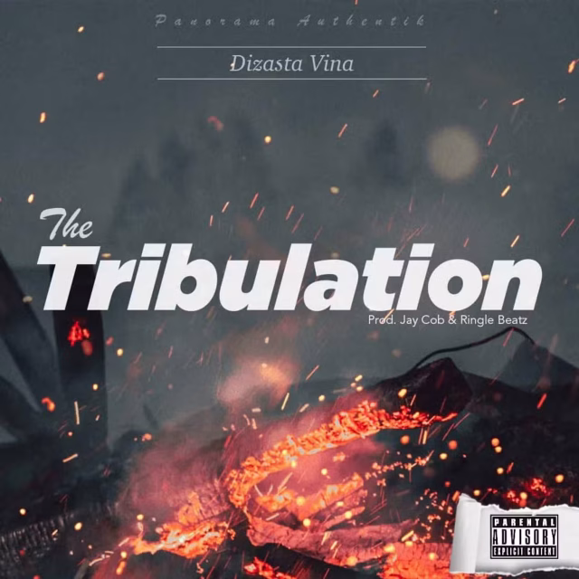 AUDIO Dizasta Vina – Tribulation Mp3 Download Side Makini Blog