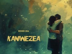 Echo 254 – Kaniwezea AUDIO Echo 254 – Kaniwezea Mp3 Download Side Makini Blog