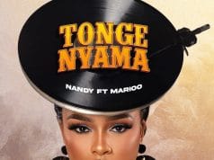 Nandy Ft. Marioo – Tonge Nyama AUDIO Nandy Ft. Marioo – Tonge Nyama Mp3 Download Side Makini Blog